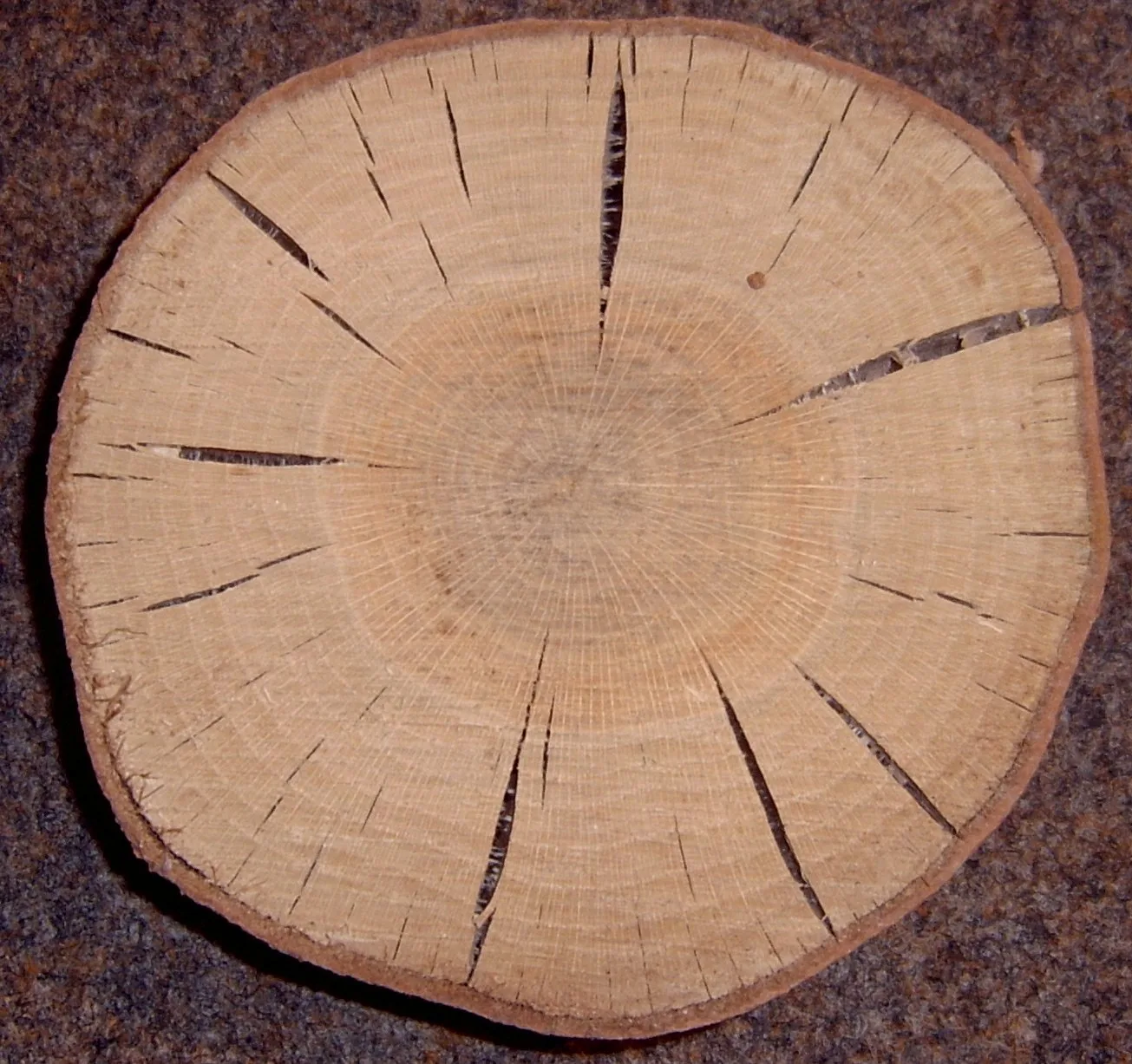 Red Oak wood