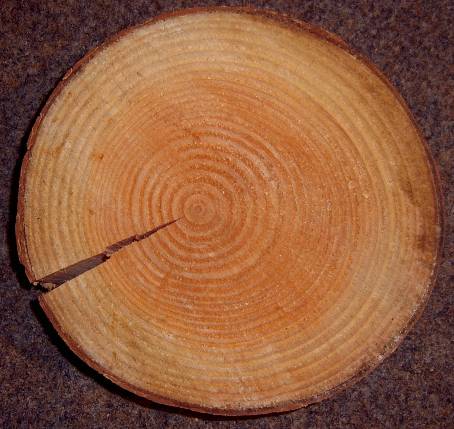 Douglas Fir wood